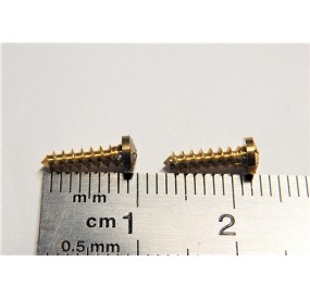 R 14753 DEUX VIS JOUEF 10 X 2 MM LAITON LOCOMOTIVE JOUEF HO