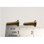 R 14753 DEUX VIS JOUEF 10 X 2 MM LAITON LOCOMOTIVE JOUEF HO
