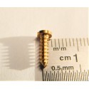 R 14753 DEUX VIS JOUEF 10 X 2 MM LAITON LOCOMOTIVE JOUEF HO