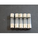 Réf 5031 LOT DE 5 FUSIBLES EN VERRE 1 AMPERE 5 X 20 mm